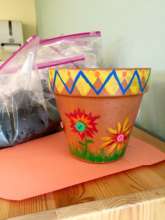 Recent youth wellness project