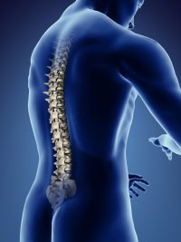 Helping people with MS in the UK to stay mobile