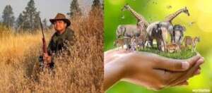 Save Wildlife