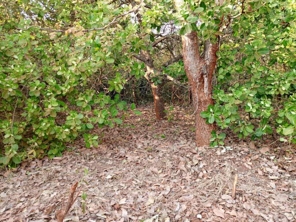 Build a Non-Profit Hospital to End Maternal Deaths