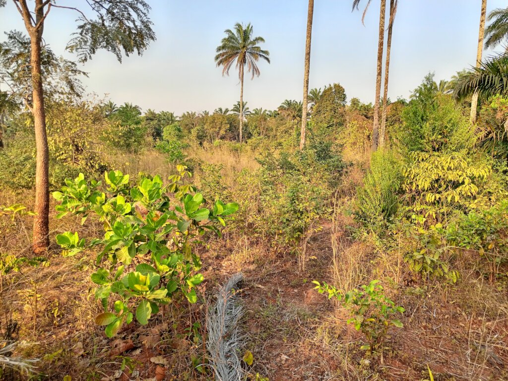 Build a Non-Profit Hospital to End Maternal Deaths