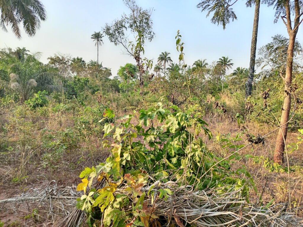 Build a Non-Profit Hospital to End Maternal Deaths