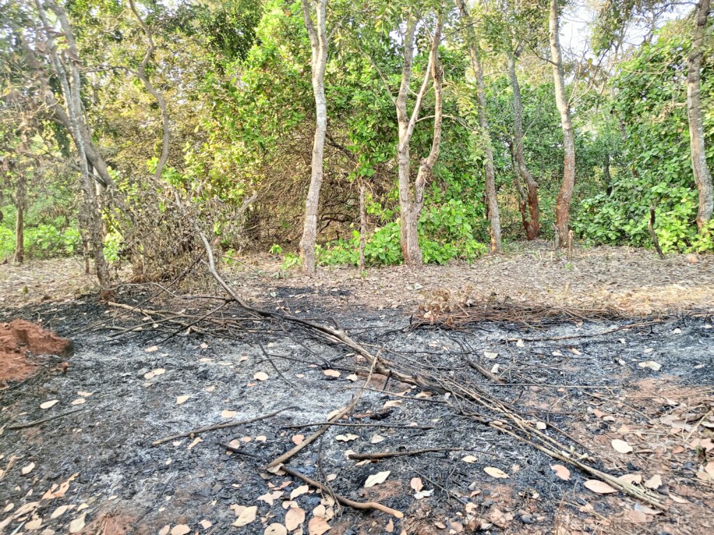 Build a Non-Profit Hospital to End Maternal Deaths