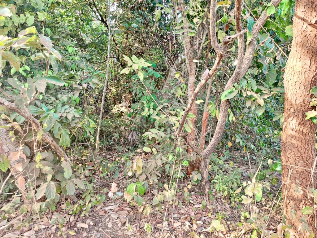 Build a Non-Profit Hospital to End Maternal Deaths