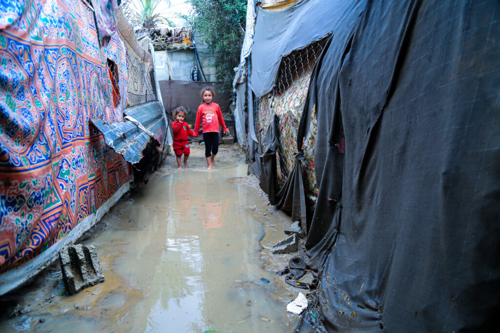 Giving Tuesday for Gaza - Share the Warmth