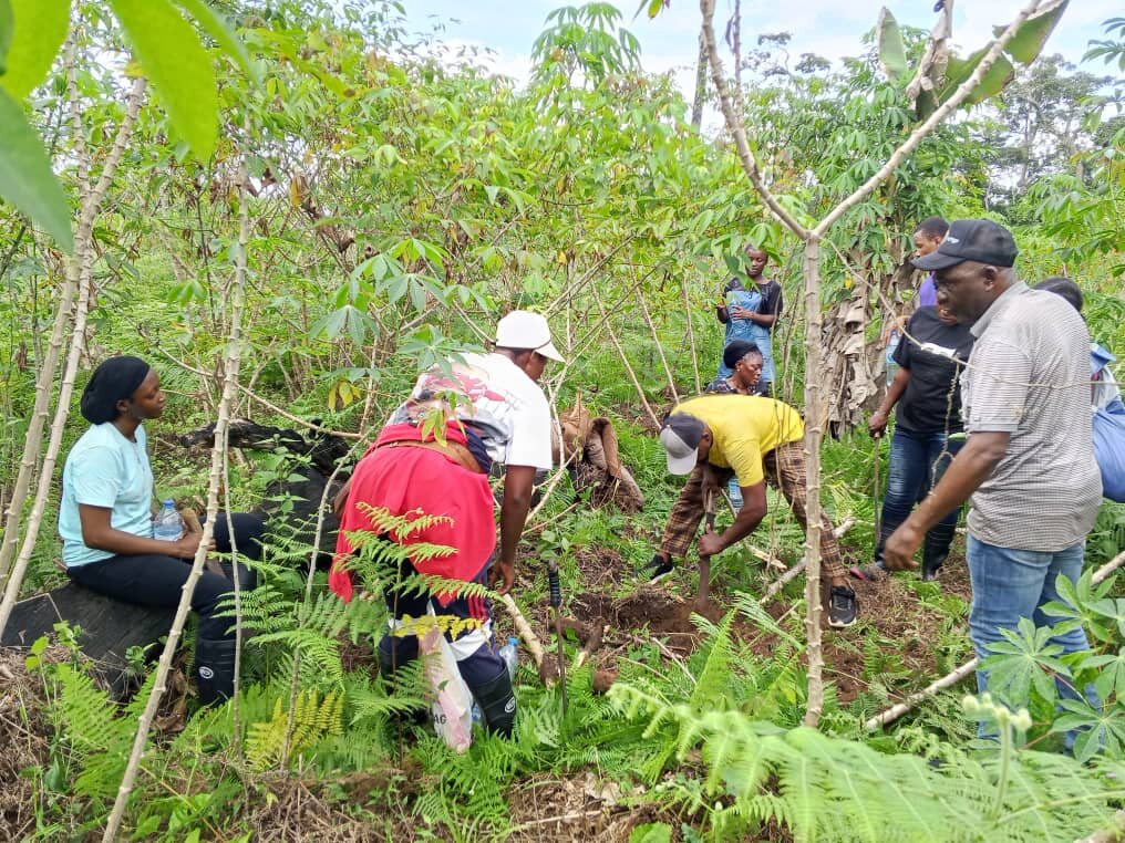 Train Youth & Build Wandusoa Eco-Learning Centre