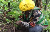 Train 20 youths to heal Cameroon's soil