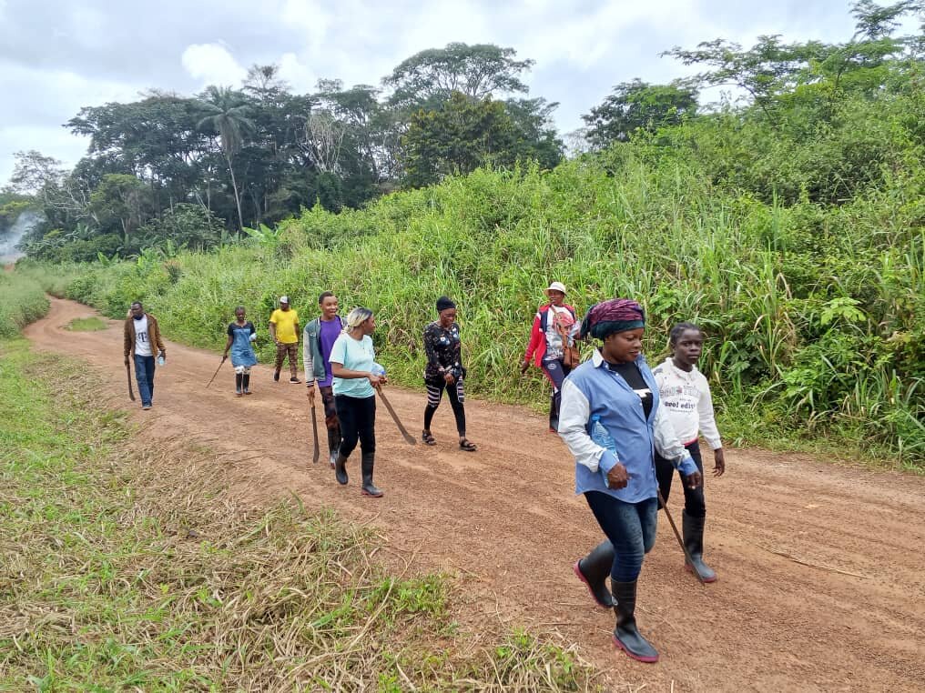 walk to the farm