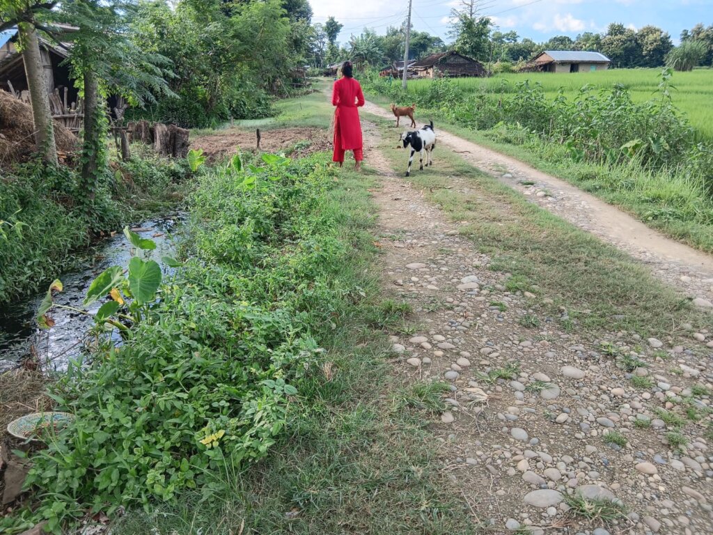 Skill Development and WASH Awareness for Community