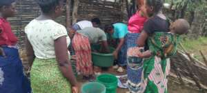 Worm Dish Preparation