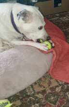 She simply loves doing this!