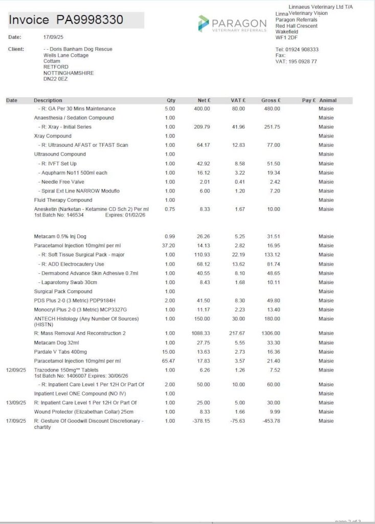 Help us pay for Maisie's ongoing vet treatment