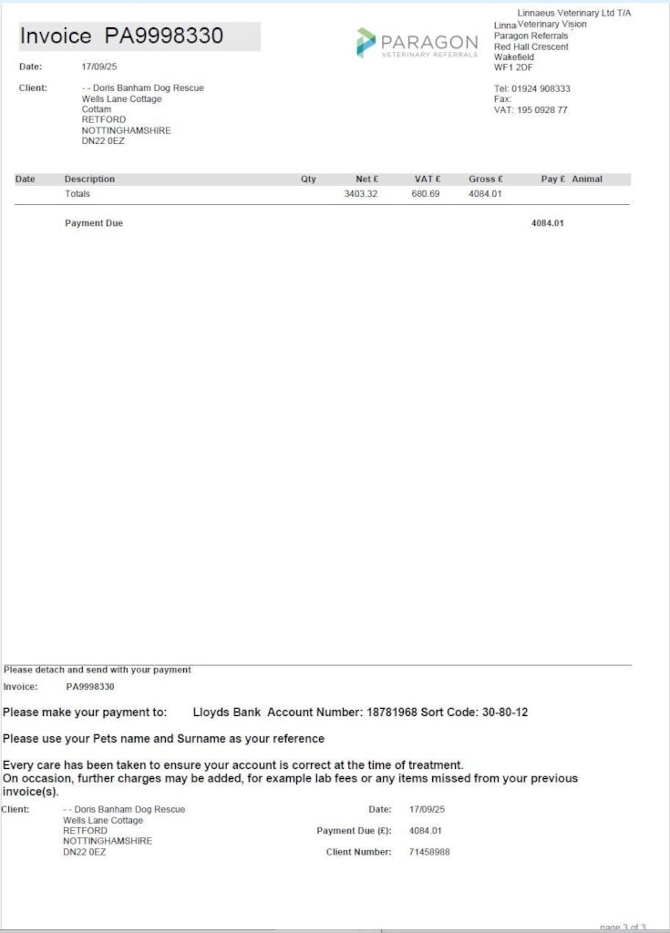 Help us pay for Maisie's ongoing vet treatment