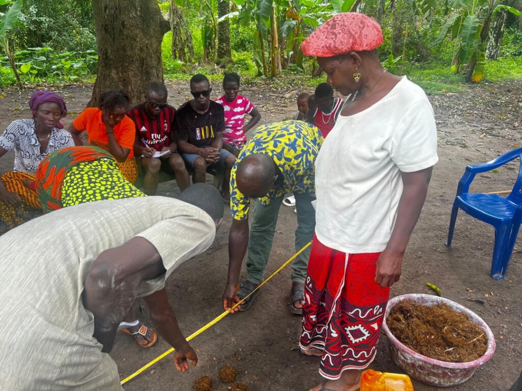 Climate-Smart Women: Building Green Skills