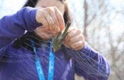Support Bird Research - Save Migratory Birds Today