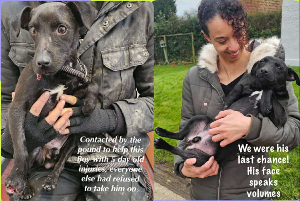 Desperate plea SAVE our unique life saving shelter