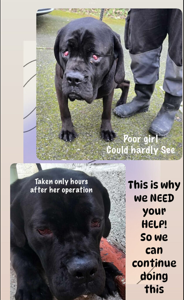 Desperate plea SAVE our unique life saving shelter