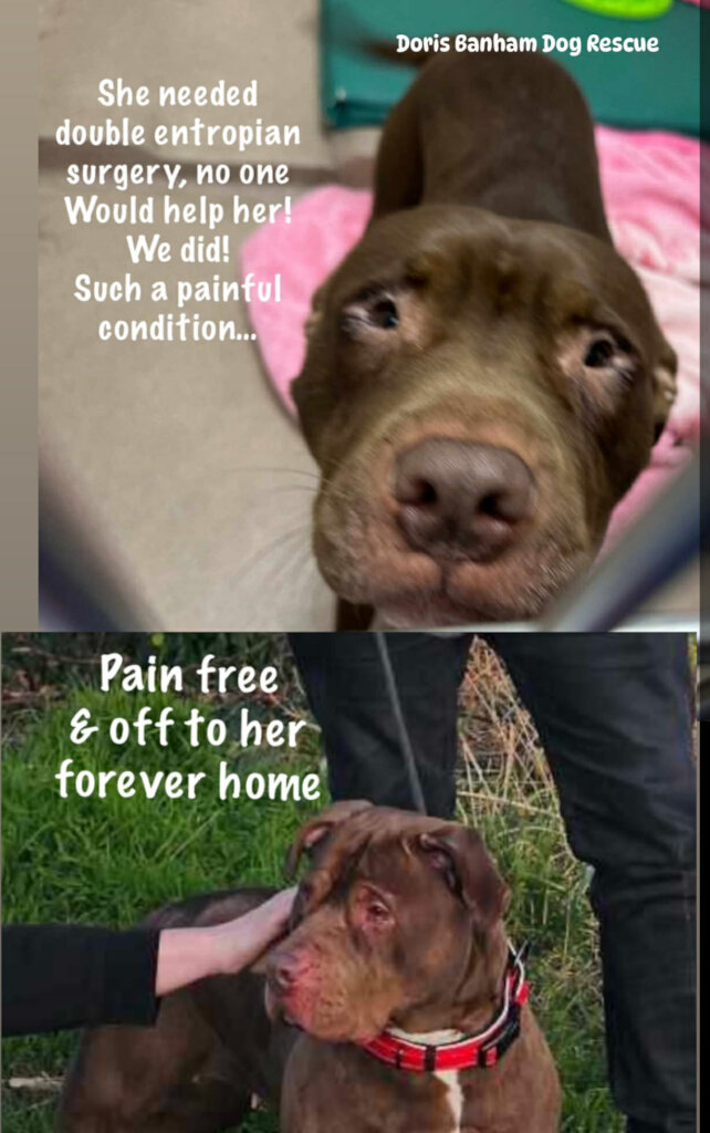 Desperate plea SAVE our unique life saving shelter