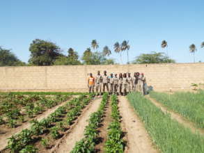Orphans training