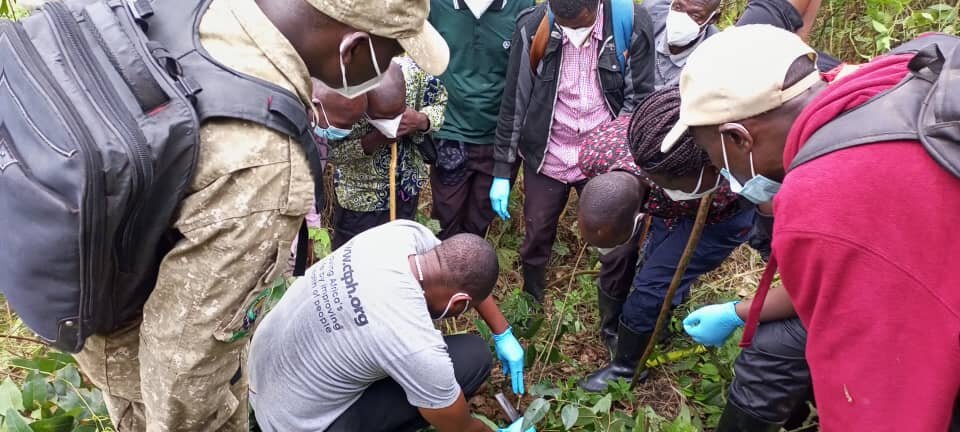 Gorilla Fecal Sample collection by the CTPH Team