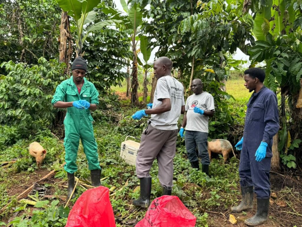 Dr Allan and volunteers collecting samples