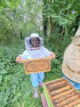 Community-based Beekeeping Initiative