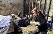 Save Orphaned & Injured Rhinos|Giving Tuesday 2025