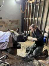 Save Orphaned & Injured Rhinos|Giving Tuesday 2025