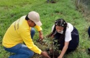 Stop Forest Fires in Rural Panama
