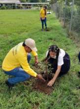 Stop Forest Fires in Rural Panama