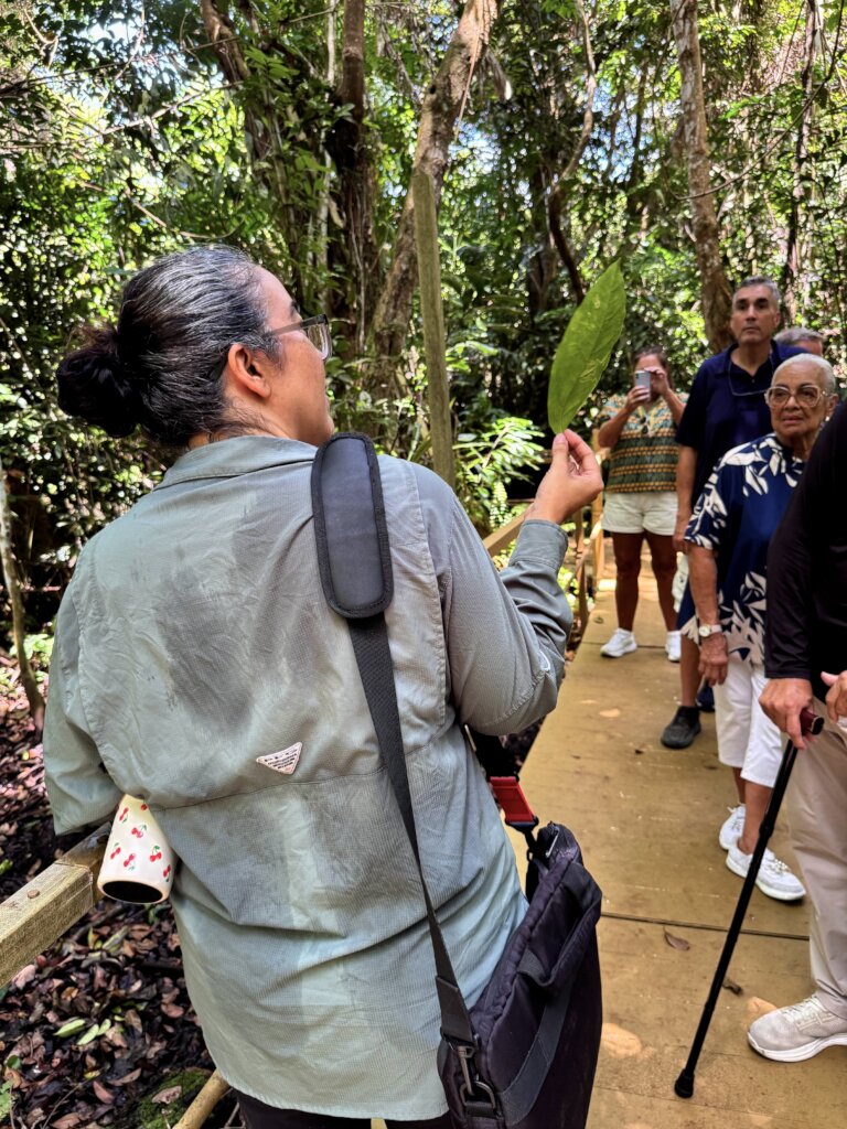 Learning to identify species with iNaturalist