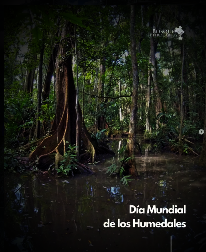 A representative social media educational post