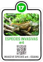 Replacement Interpretative Signage with QR Codes