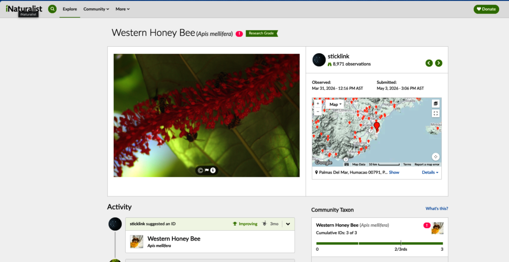 One observation among nearly 3000 in the catalogue