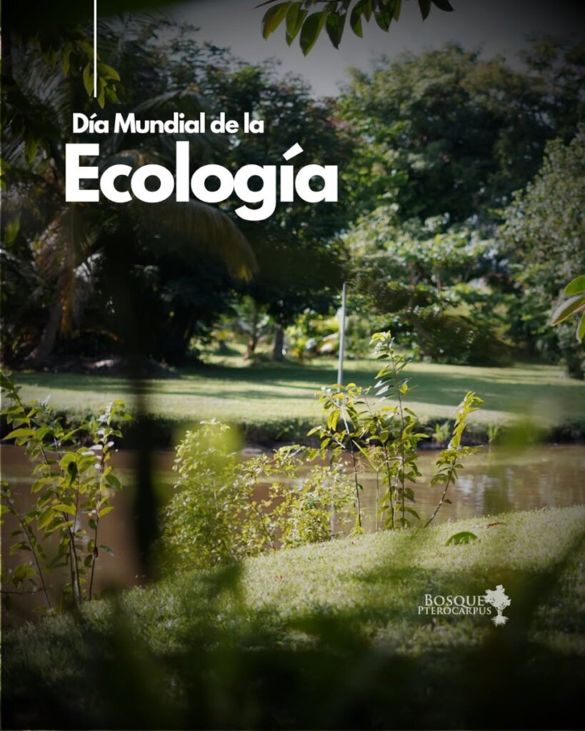 Pterocarpus: Environmental Education 2026