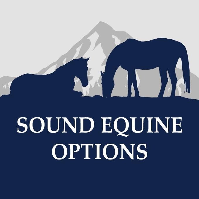 Healing the Horses That Need Us Most