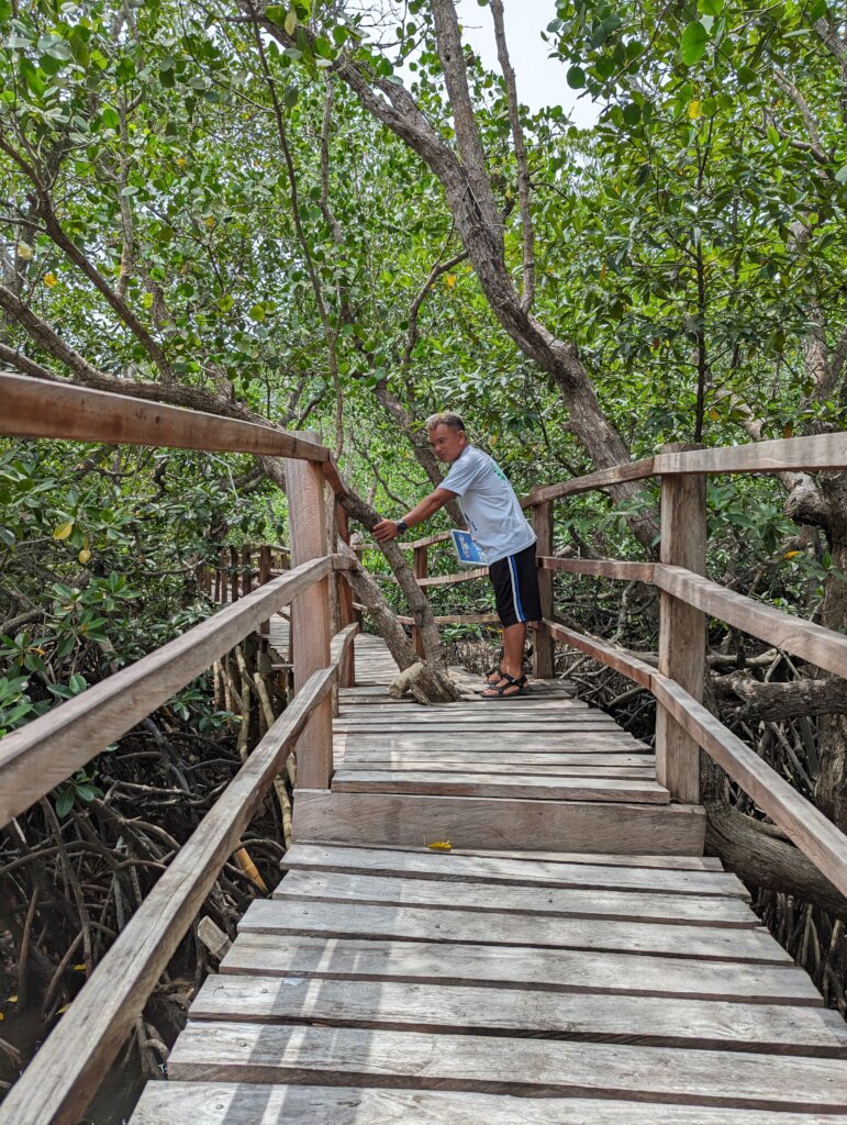 Boardwalk