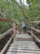 Boardwalk