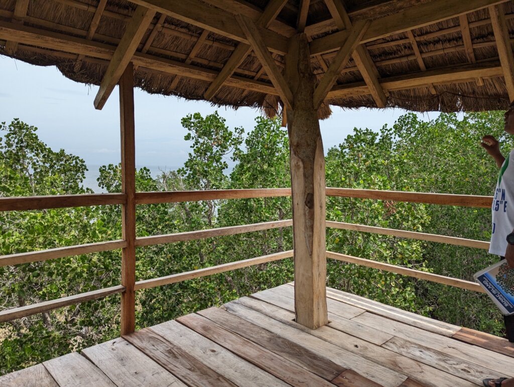 Watchtower view from top