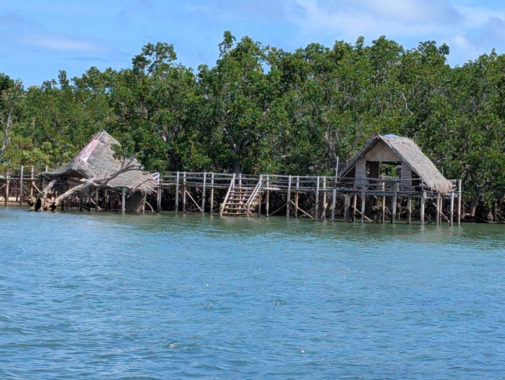 Damaged and undamaged cottages