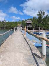 Fixed pier