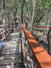 New wood on railing