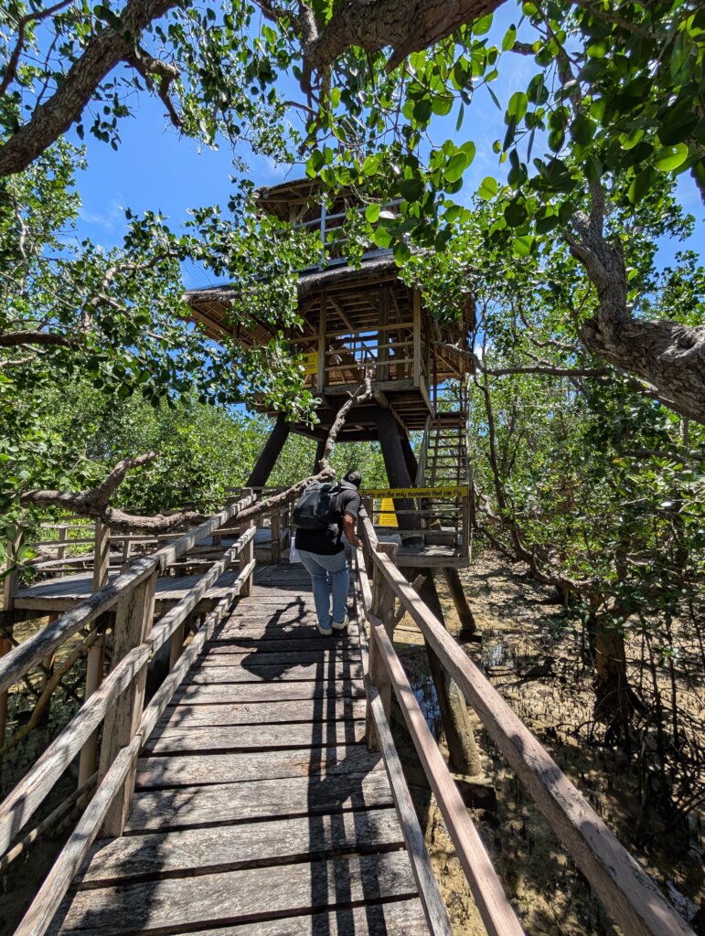 Suyac's repaired watchtower
