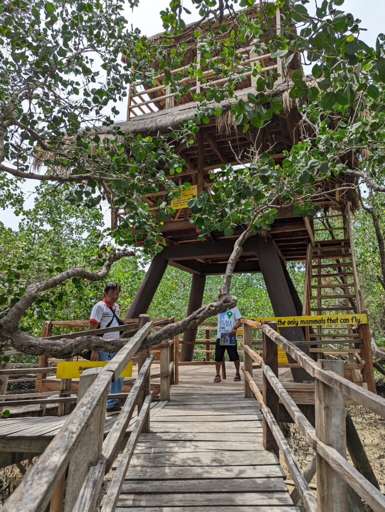 Help Suyac Island recover from typhoon Tino