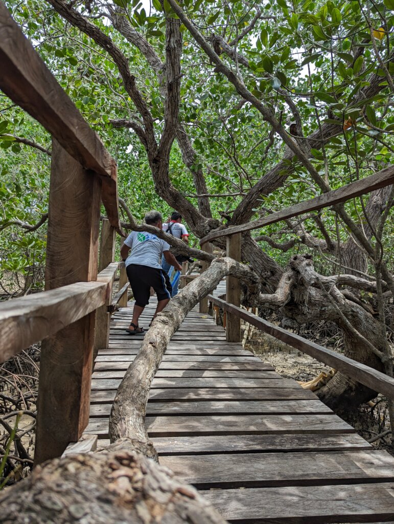 Help Suyac Island recover from typhoon Tino