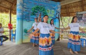Help Suyac Island recover from typhoon Tino