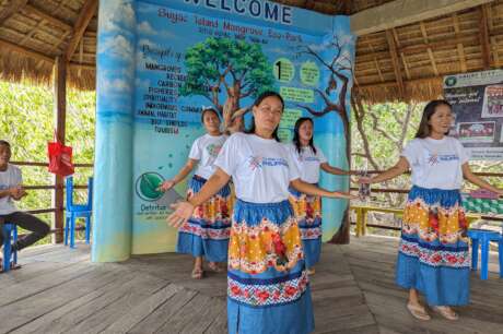 Help Suyac Island recover from typhoon Tino