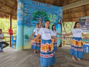 Help Suyac Island recover from typhoon Tino