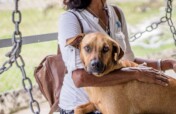 Protect and Rescue Dogs and Cats in Nigeria