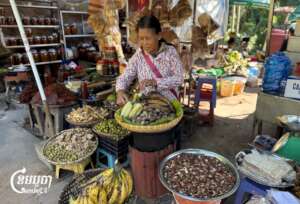 Indigenous vendor selling food at Yeak Laom Lake